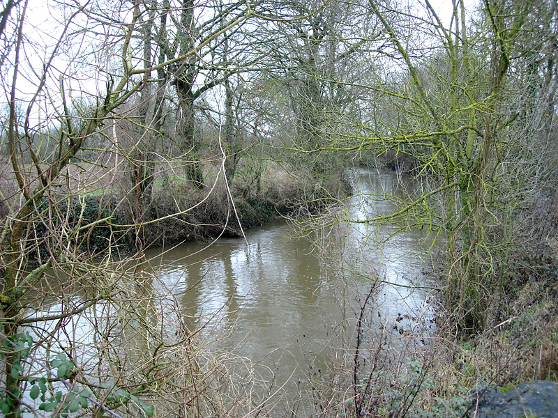 Tardoire